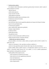 Sandėlių įrengimas 13 puslapis