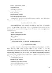 Sandėlių įrengimas 14 puslapis