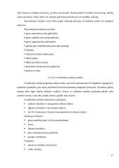 Sandėlių įrengimas 17 puslapis