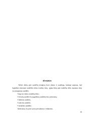 Sandėlių įrengimas 20 puslapis