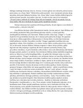 Rašytojų biografijos atspindžiai jų kūriniuose 2 puslapis