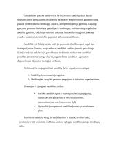 Sandėlių klasifikavimas 2 puslapis