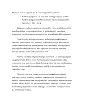 Sandėlių klasifikavimas 4 puslapis