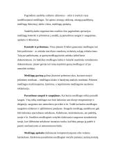 Sandėlių klasifikavimas 5 puslapis