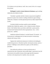 Sandėlių klasifikavimas 6 puslapis