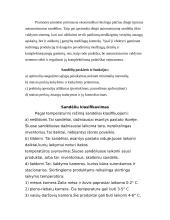 Sandėlių klasifikavimas 7 puslapis