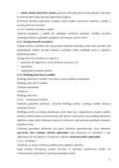 Sandėlių logistika 15 puslapis