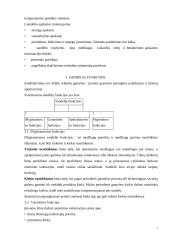 Sandėlių logistika 7 puslapis