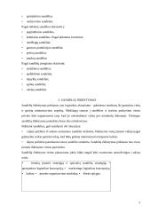 Sandėlių logistika 9 puslapis