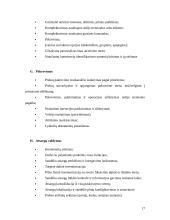 Sandėlių valdymo sistema 17 puslapis