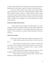 Sandėlių valdymo sistema 8 puslapis