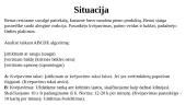 Anafilaksinis šokas. Alerginės reakcijos 14 puslapis