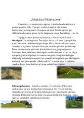 Piliakalniai Šilalės rajone