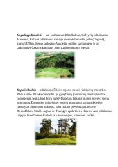 Piliakalniai Šilalės rajone 2 puslapis