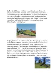 Piliakalniai Šilalės rajone 4 puslapis