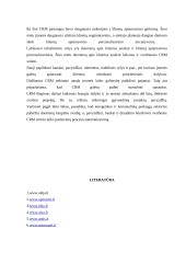 Santykių su klientais vadyba 12 puslapis