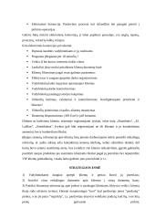 Santykių su klientais vadyba 4 puslapis