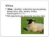 Vilnos savybės ir priežiūra 2 puslapis