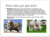 Vilnos savybės ir priežiūra 3 puslapis