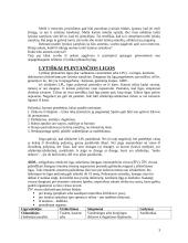 Saugus seksualinis gyvenimas paauglystėje. Kontracepcijos metodai 3 puslapis