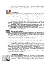 Saugus seksualinis gyvenimas paauglystėje. Kontracepcijos metodai 5 puslapis