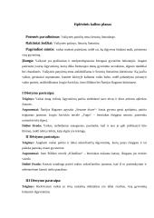 Vaikystės patirčių tema 3 puslapis