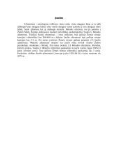 Saulės ir Mėnulio užtemimai, jų skirtumai bei priežastys 3 puslapis