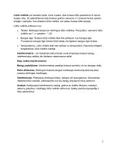 Oro lūžio rodiklio matavimai Reilio interferometru 2 puslapis