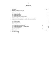 Vadybos praktikos ataskaita