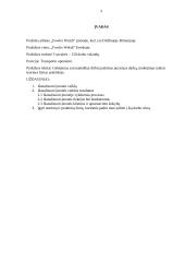 Vadybos praktikos ataskaita 2 puslapis