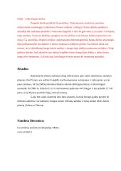 Informacija apie saulės sistemos planetas 9 puslapis