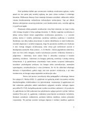 Savanorystės vaidmuo socialiniame ugdyme 3 puslapis