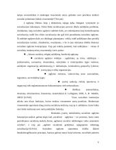 Savanorystės vaidmuo socialiniame ugdyme 4 puslapis