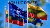 Lietuva ir NATO (skaidrės) 12 puslapis