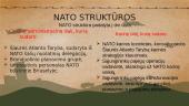 Lietuva ir NATO (skaidrės) 4 puslapis