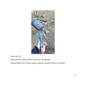 Žvakidė. Technologijų mokyklinio brandos egzamino darbo aprašas 13 puslapis