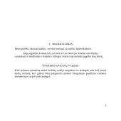 Žvakidė. Technologijų mokyklinio brandos egzamino darbo aprašas 6 puslapis