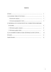 Savanoriškos veiklos ypatumai neformalaus ugdymo institucijose 2 puslapis