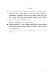 Savanoriškos veiklos ypatumai neformalaus ugdymo institucijose 12 puslapis