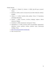 Savanoriškos veiklos ypatumai neformalaus ugdymo institucijose 13 puslapis