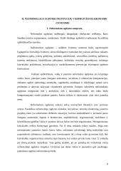 Savanoriškos veiklos ypatumai neformalaus ugdymo institucijose 8 puslapis