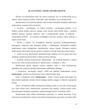 Savanorių vaidmuo įgyvendinant socialinės gerovės programas bendruomenėje 13 puslapis