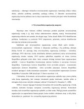 Savanorių vaidmuo įgyvendinant socialinės gerovės programas bendruomenėje 5 puslapis