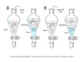 Organinių junginių tyrimo metodai 17 puslapis