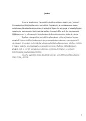 Savivaldybių biudžeto sudarymo etapai ir eiga Lietuvoje 2 puslapis