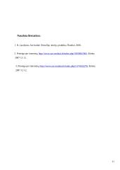 Savivaldybių biudžeto sudarymo etapai ir eiga Lietuvoje 11 puslapis