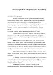 Savivaldybių biudžeto sudarymo etapai ir eiga Lietuvoje 3 puslapis