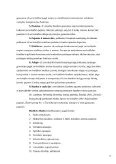 Savivaldybių biudžeto sudarymo etapai ir eiga Lietuvoje 4 puslapis