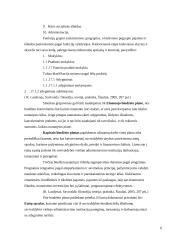 Savivaldybių biudžeto sudarymo etapai ir eiga Lietuvoje 6 puslapis