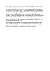 Kaip meilė tėvynei vaizduojama lietuvių literatūroje? 2 puslapis